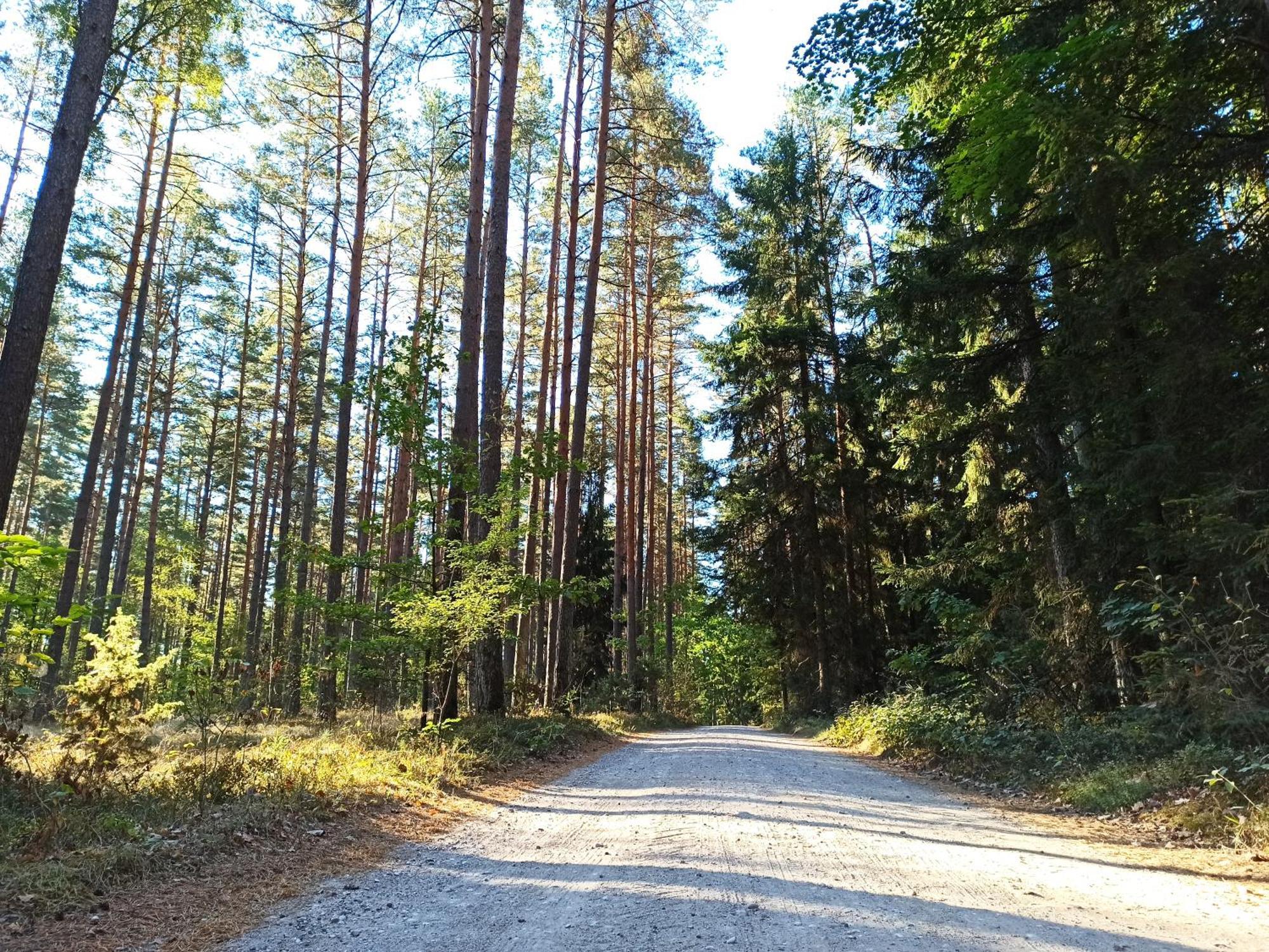 Mazurska Lesniczowka Nowy Zyzdroj Bed and Breakfast Esterno foto